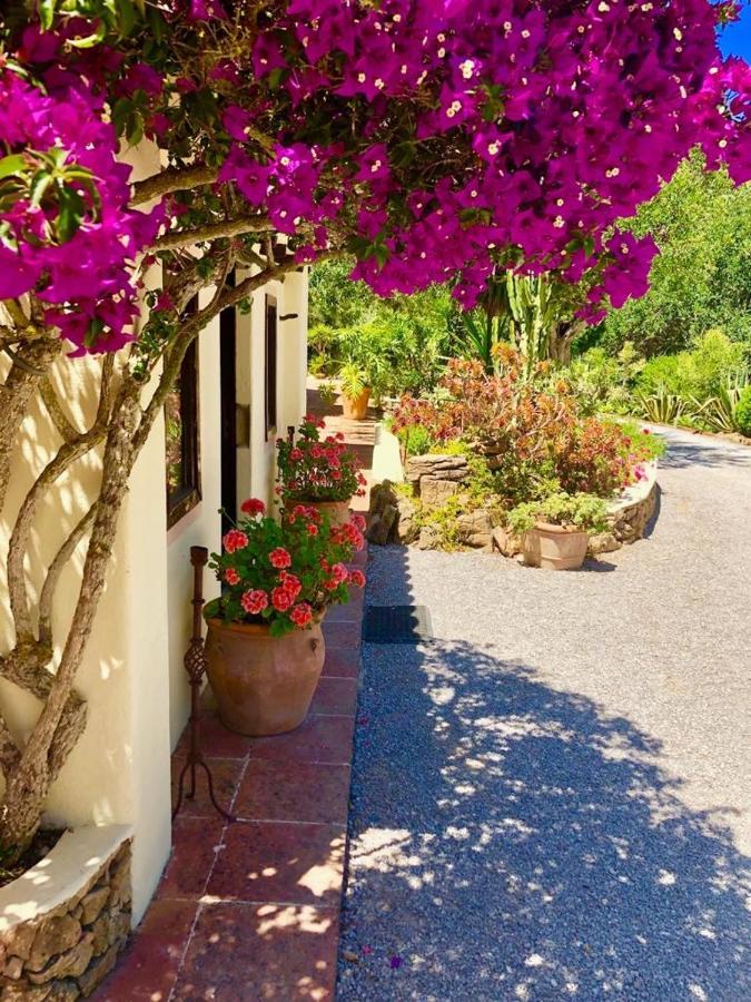 Agroturismo Can Talaias San Carlos Es Cana Εξωτερικό φωτογραφία